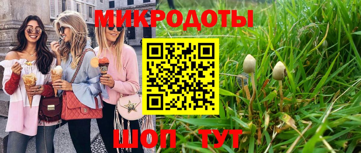 Кимры  Галлюциногенные грибы GOLDEN TEACHER  Галлюциногенные грибы Psilocybine cubensis  сколько стоит  Вход с VPN 